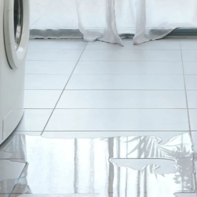 Appliance Leak Cleanup in Galveston, IN