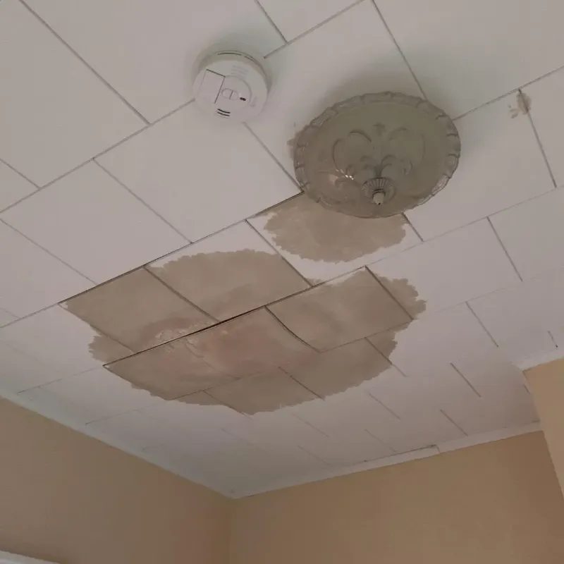 Ceiling Water Damage Repair in Galveston, IN