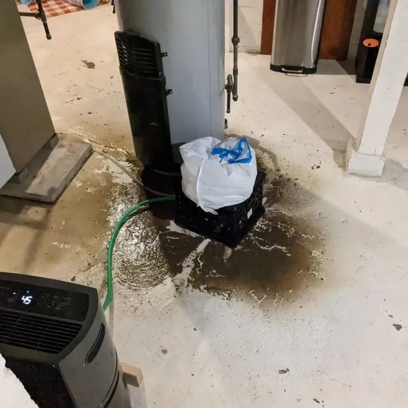 Sewage Backup Cleanup Service in Galveston, IN